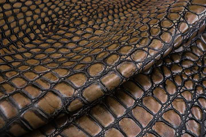 Dark Toffee Tortoise