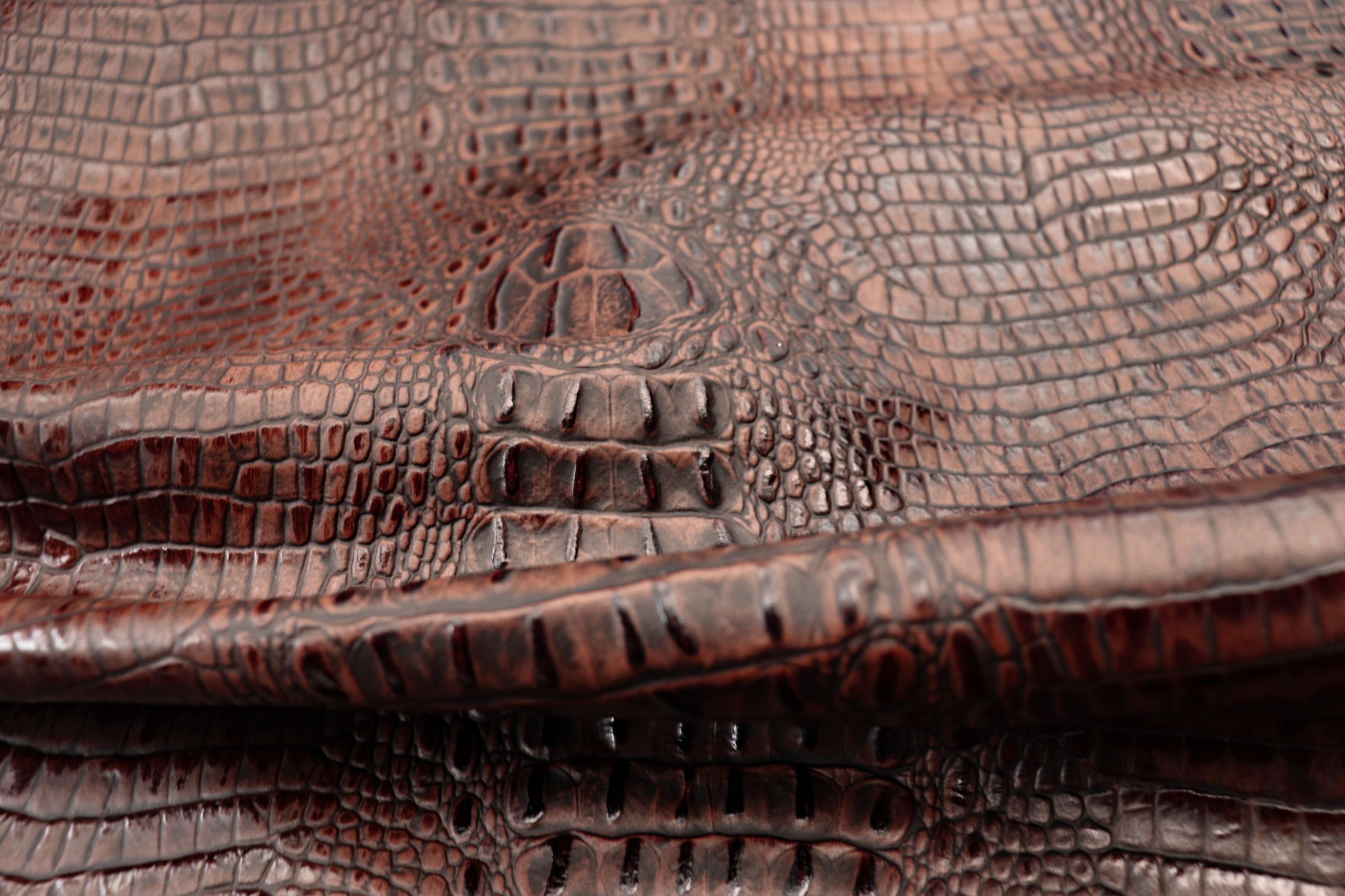 Cordovan Gator