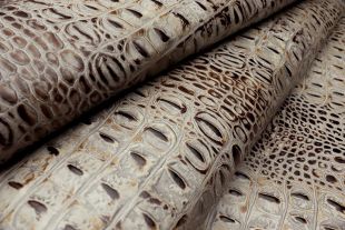 CP#4-a DIAMOND BACK CROC