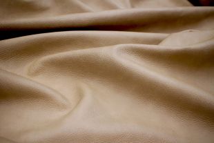 DKT#6 WILD ANTLER LEATHER