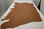 COYOTE GOLD DISTRESS MIX LOT #154