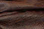 COFFEE BEAN CROC MIX LOT #7
