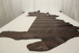 MAHOGANY CAIMAN MIX LOT #21