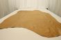 KODIAK BEAR MIX LOT #29