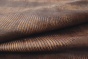 K1276-A MOJAVE LIZARD