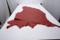 ROYAL RED #4