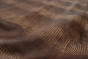 K1276-A MOJAVE LIZARD