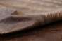 K1276-A MOJAVE LIZARD