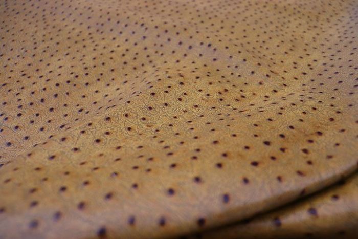 Picture of draping Summer Ostrich, rich golden brown embossed cowhide leather for upholstery and furniture.