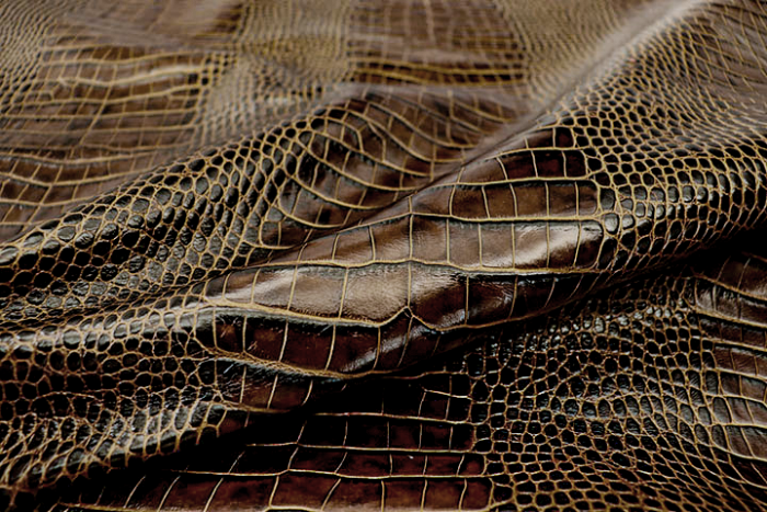 K1275-B GILDED GATOR