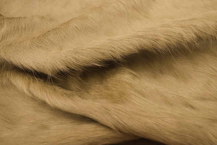 Close up picture of light tan hair on upholstery leather