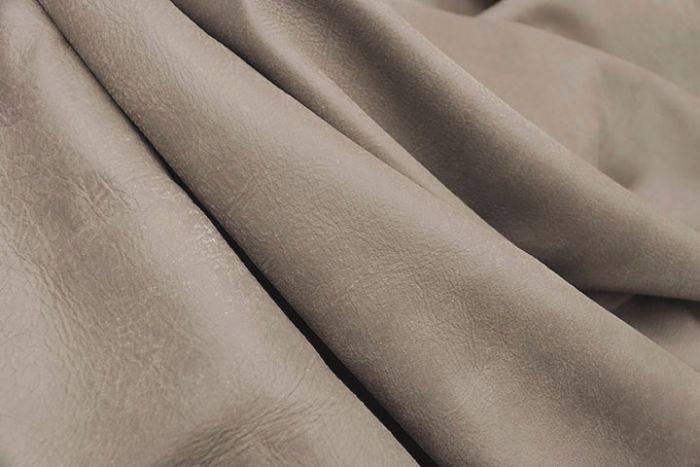 TY#6-a GREYHOUND (Half Hide)