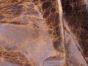 DURANGO DARK GOLD MIX LOT #25