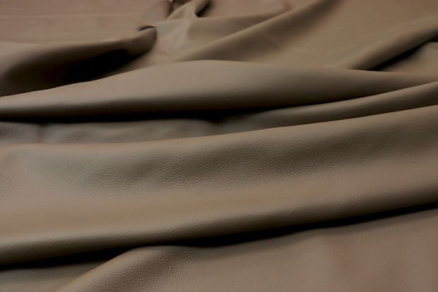 K1103 MAGIC MUSHROOM