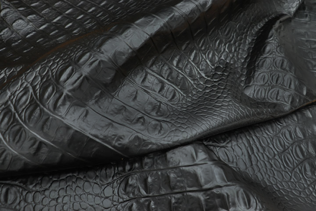 CP#9-a  BLACK CROC 