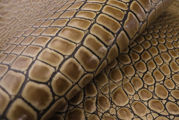 SUNSTONE TORTOISE #1