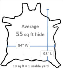 Hide Sizes and Shapes