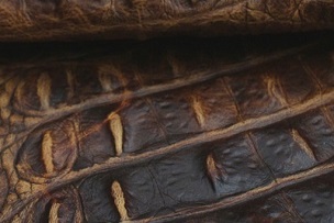 Croc Embossed Leather